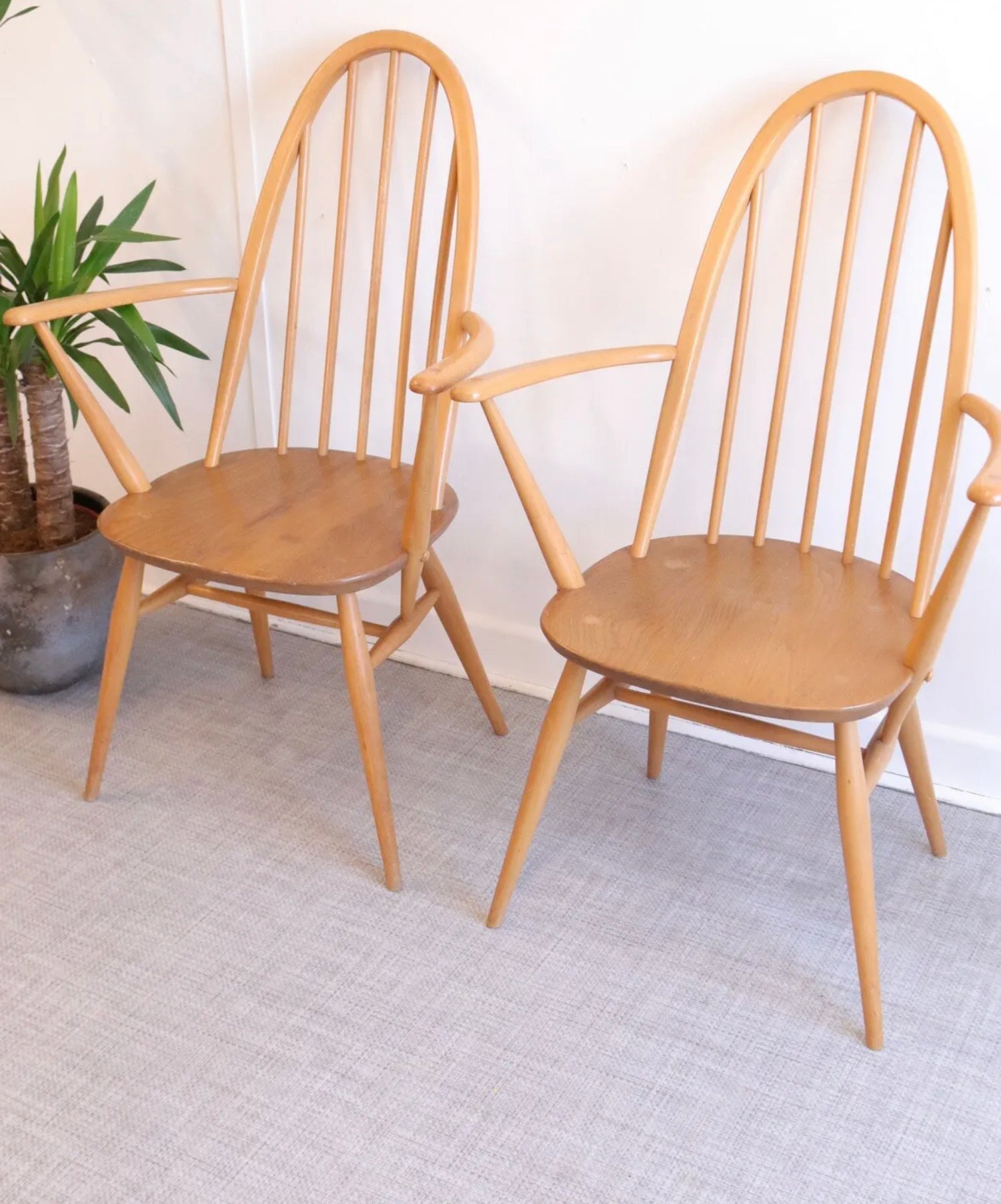 Pair Ercol Quaker Carver Blonde Dining Chairs - teakyfinders