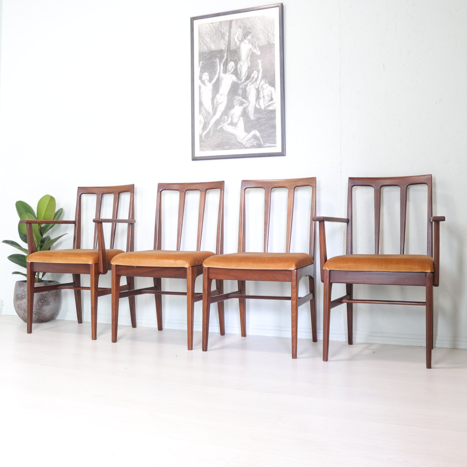 A. Younger Set of Four Volany Dining Chairs in Afromosia - teakyfinders
